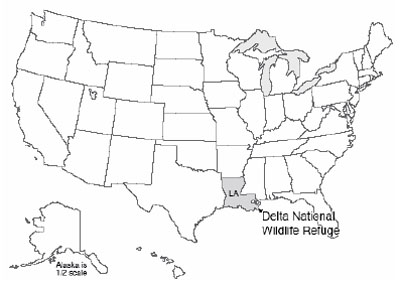 Map of U.S. with Delta National Wildlife Refuge highlighted in southeasternmost Louisiana.